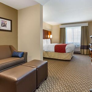 Queen Suite Sofa Accessible or Non-Smoking
